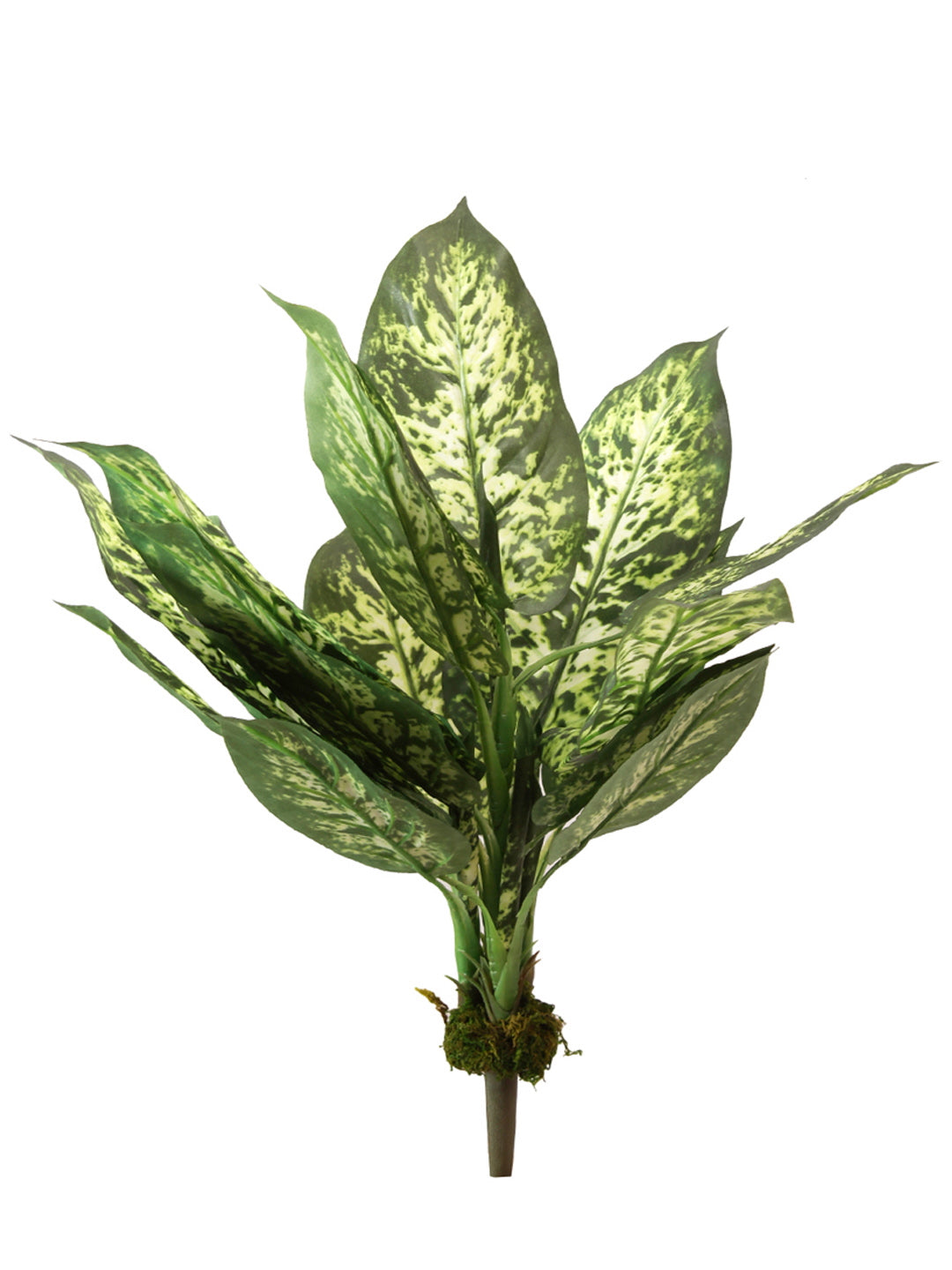 Artificial Dieffenbachia Plant – 1.7 Feet Tall, Green