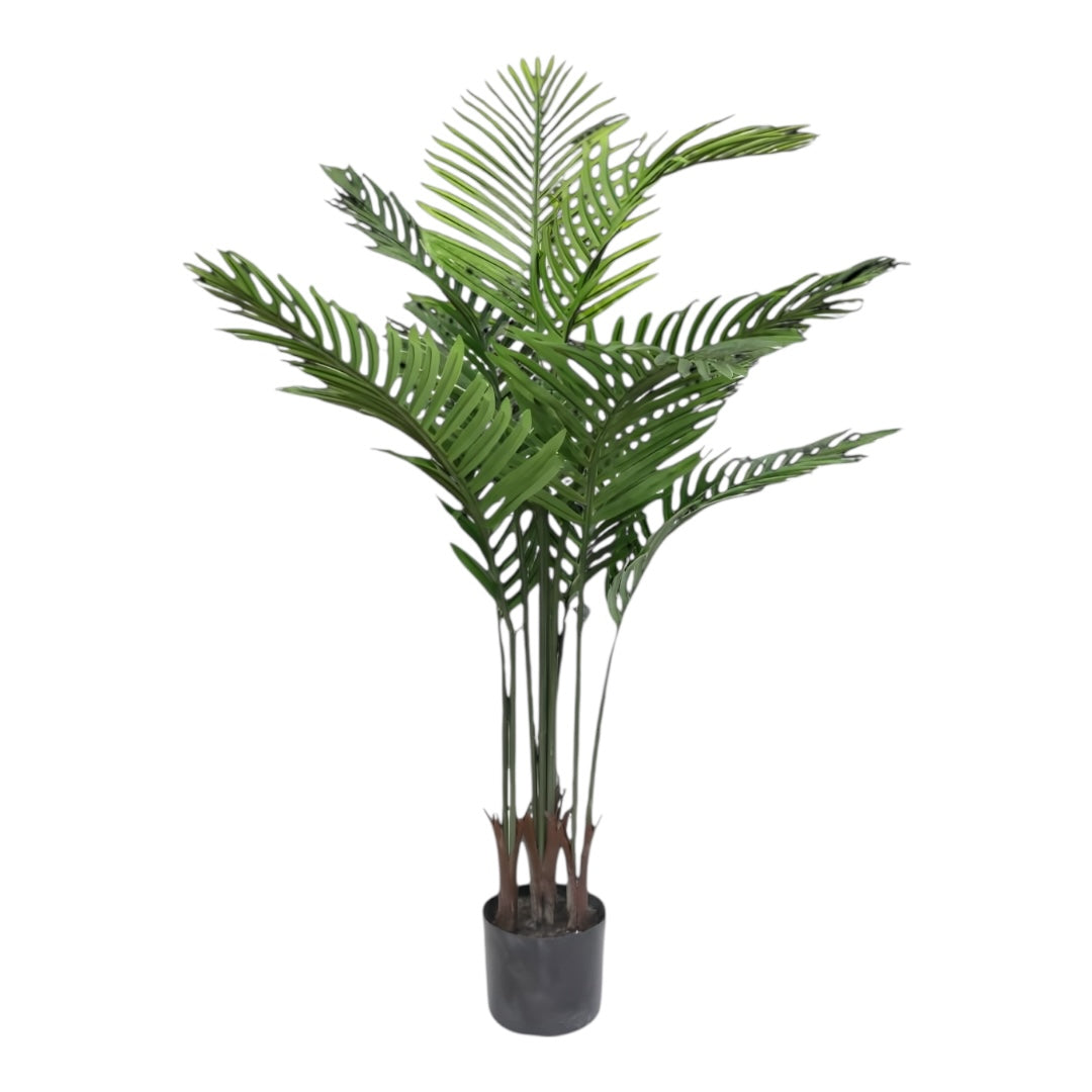plant palm 4 ft