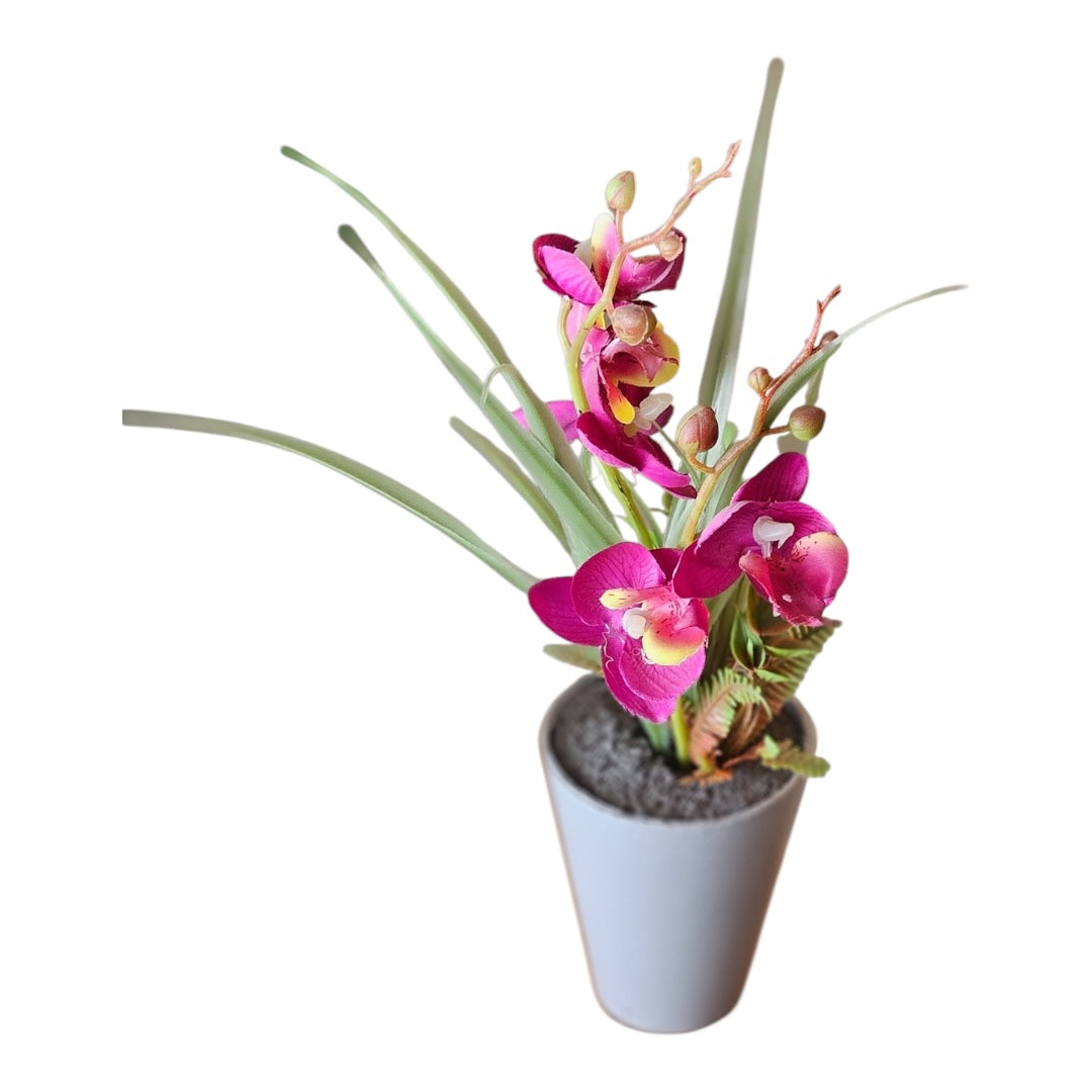 plant little faux orchid