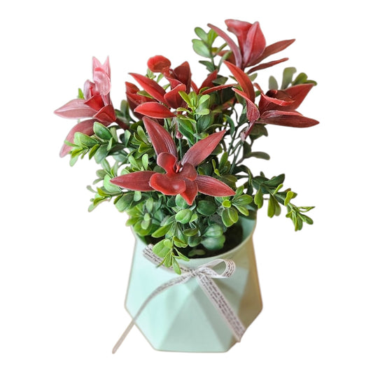 plant deep crimson blooms